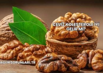 Ceviz Kolesterole İyi Gelir mi?