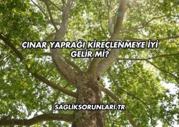 Çınar Yaprağı Kireçlenmeye İyi Gelir mi?