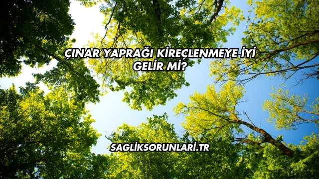 Çınar Yaprağı Kireçlenmeye İyi Gelir mi?