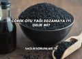 Çörek Otu Yağı Egzamaya İyi Gelir mi?