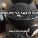 Çörek Otu Yağı Saça İyi Gelir mi?