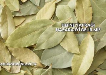 Defne Yaprağı Nazara İyi Gelir mi?