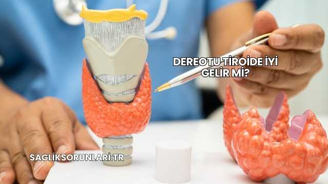 Dereotu Tiroide İyi Gelir mi?