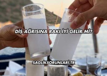 Diş Ağrısına Rakı İyi Gelir mi?