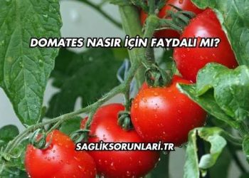 Domates Nasır İçin Faydalı mı?