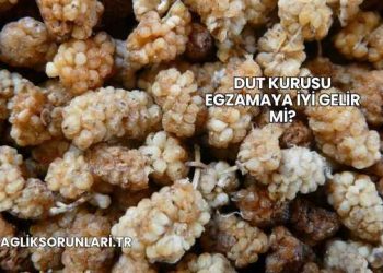 Dut Kurusu Egzamaya İyi Gelir mi?