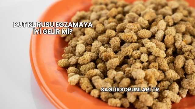 Dut Kurusu Egzamaya İyi Gelir mi?