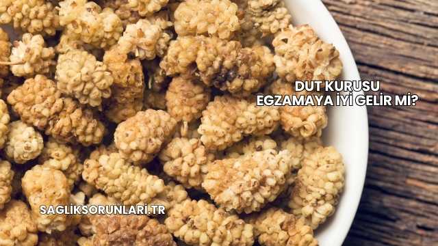 Dut Kurusu Egzamaya İyi Gelir mi?