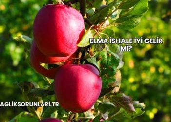Elma İshale İyi Gelir mi?