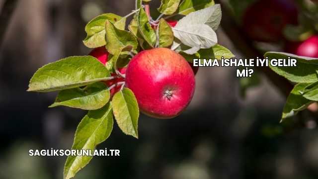 Elma İshale İyi Gelir mi?