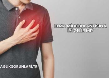 Elma Mide Bulantısına İyi Gelir mi?