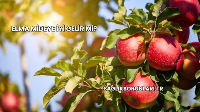 Elma Mideye İyi Gelir mi?