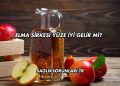 Elma Sirkesi Yüze İyi Gelir mi?