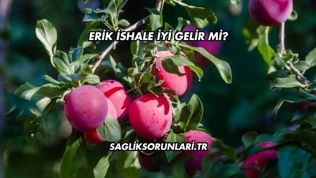 Erik İshale İyi Gelir mi?