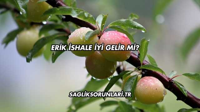 Erik İshale İyi Gelir mi?