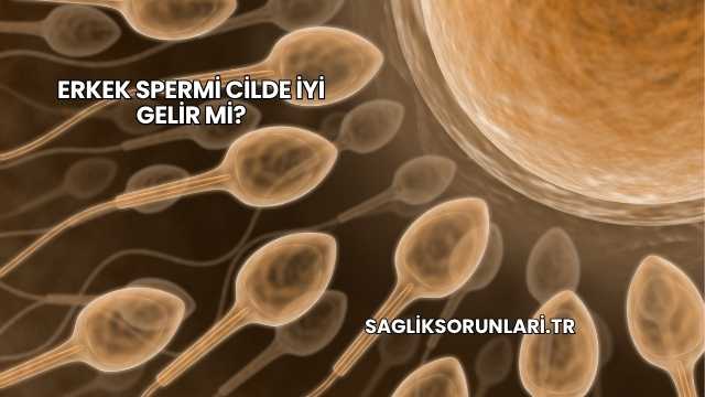 Erkek Spermi Cilde İyi Gelir mi?