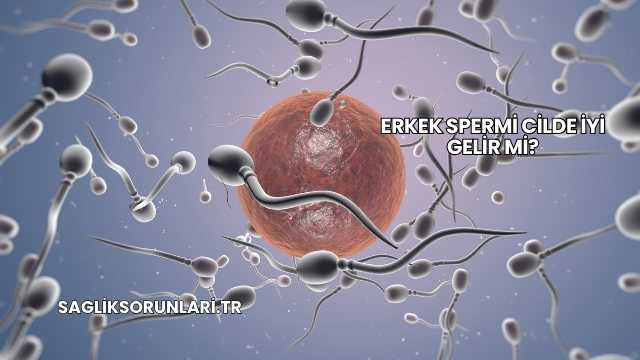 Erkek Spermi Cilde İyi Gelir mi?