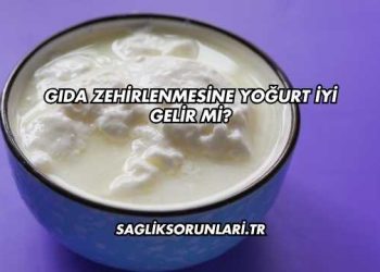 Gıda Zehirlenmesine Yoğurt İyi Gelir mi?