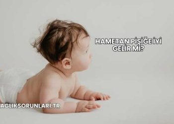 Hametan Pişiğe İyi Gelir mi?