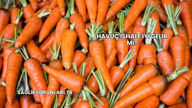 Havuç İshale İyi Gelir mi?