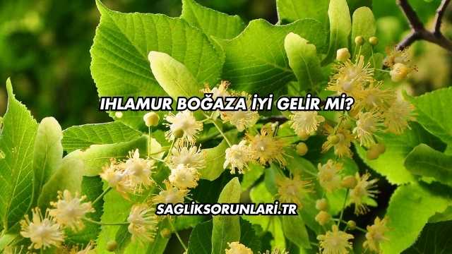 Ihlamur Boğaza İyi Gelir mi?