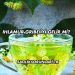 Ihlamur Gribe İyi Gelir mi?