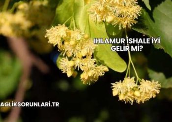 Ihlamur İshale İyi Gelir mi?