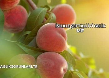 İshale Şeftali İyi Gelir mi?