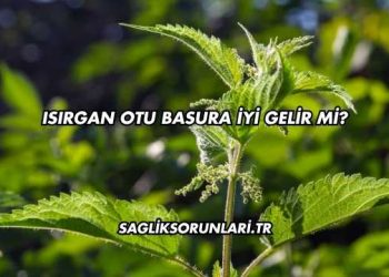 Isırgan Otu Basura İyi Gelir mi?