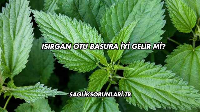 Isırgan Otu Basura İyi Gelir mi?
