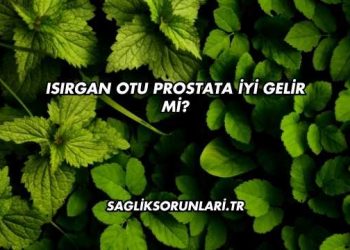 Isırgan Otu Prostata İyi Gelir mi?