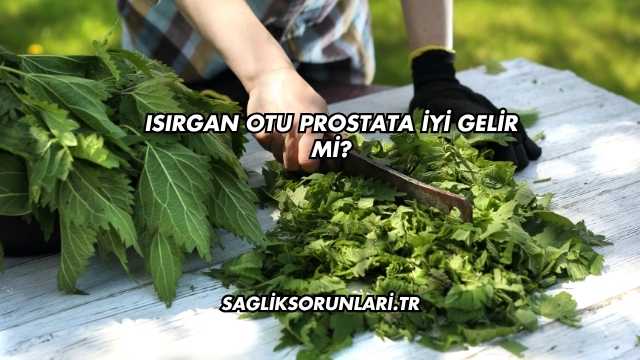 Isırgan Otu Prostata İyi Gelir mi?