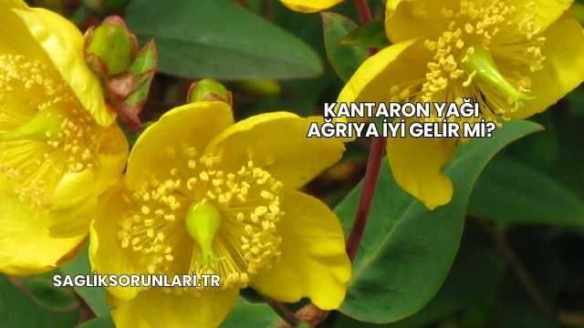 Kantaron Yağı Ağrıya İyi Gelir mi?