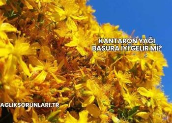 Kantaron Yağı Basura İyi Gelir mi?