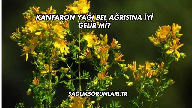 Kantaron Yağı Bel Ağrısına İyi Gelir mi?