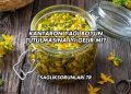 Kantaron Yağı Boyun Tutulmasına İyi Gelir mi