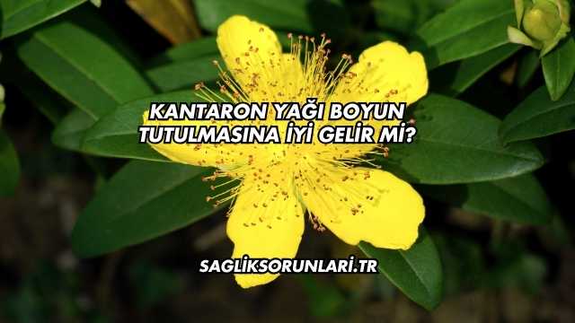 Kantaron Yağı Boyun Tutulmasına İyi Gelir mi