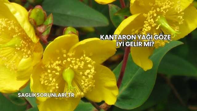Kantaron Yağı Göze İyi Gelir mi?