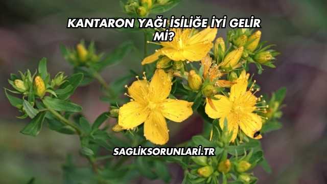 Kantaron Yağı İsiliğe İyi Gelir mi?