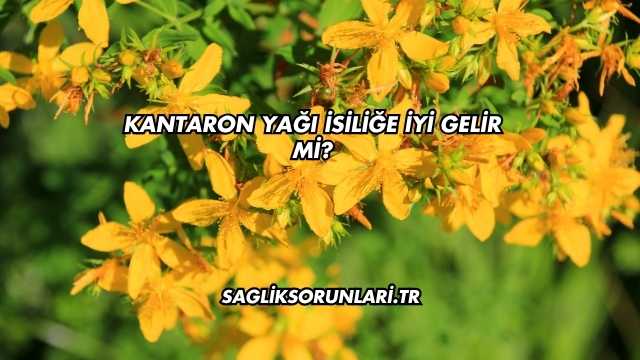 Kantaron Yağı İsiliğe İyi Gelir mi?