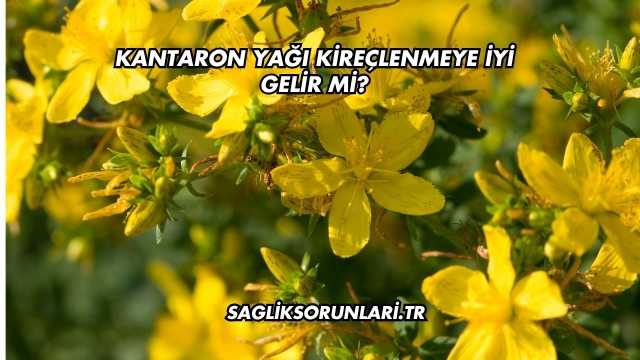 Kantaron Yağı Kireçlenmeye İyi Gelir mi?
