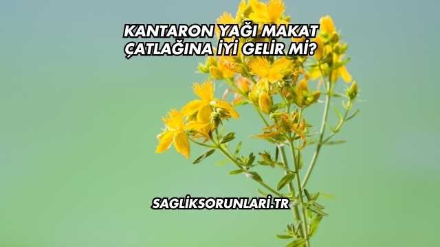 Kantaron Yağı Makat Çatlağına İyi Gelir mi?