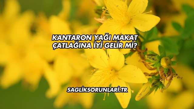 Kantaron Yağı Makat Çatlağına İyi Gelir mi?