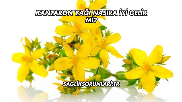 Kantaron Yağı Nasıra İyi Gelir mi?