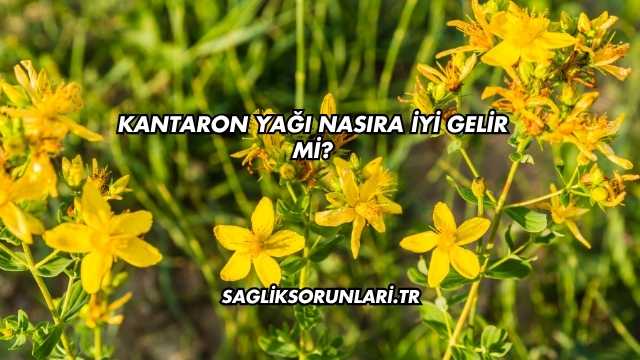 Kantaron Yağı Nasıra İyi Gelir mi?