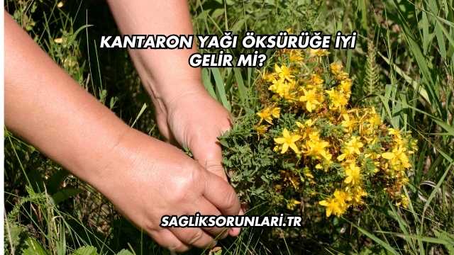 Kantaron Yağı Öksürüğe İyi Gelir mi?