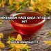 Kantaron Yağı Saça İyi Gelir mi?