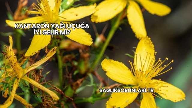 Kantaron Yağı Uçuğa İyi Gelir mi?