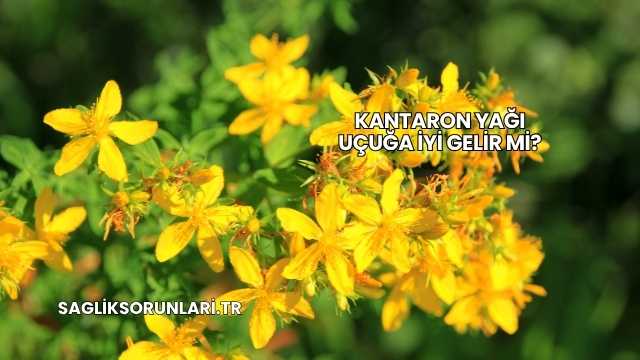 Kantaron Yağı Uçuğa İyi Gelir mi?