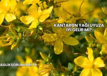Kantaron Yağı Uyuza İyi Gelir mi?